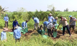 Huy động cả trăm người hỗ trợ huyện cù lao ứng phó với triều cường