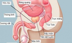 Căn bệnh nam giới U50 ai nghe cũng sợ, hãy thay đổi ngay 4 thói quen này, nếu có dấu hiệu cần được khám ngay