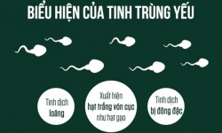 Tinh trùng yếu và thiếu- Cách nhận biết và khắc phục