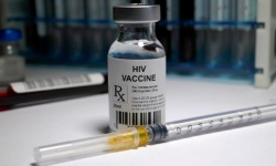 Vaccine mới tiêu diệt HIV ở khỉ, mở ra hy vọng chấm dứt đại dịch AIDS