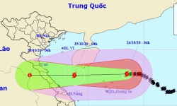 Bão số 8 bắt đầu giảm cường độ, các tỉnh Nghệ An đến Thừa Thiên Huế mưa to