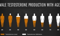 Vai trò của testosterone đối với sức khỏe nam giới