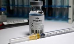 Phát triển vaccine HIV có thể tạo ra kháng thể trung hòa