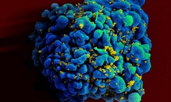 Những người tự 'giam giữ' virus HIV