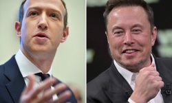 Tỉ phú Elon Musk chê đối thủ Mark Zuckerberg nhát gan, đòi đến tận nhà tỉ võ