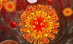 Thử nghiệm lâm sàng vắc xin HIV trên người