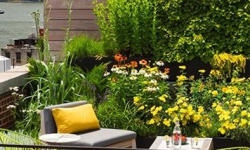 THIẾT KỆ NGOẠI THẤT BÌNH THẠNH, HCM